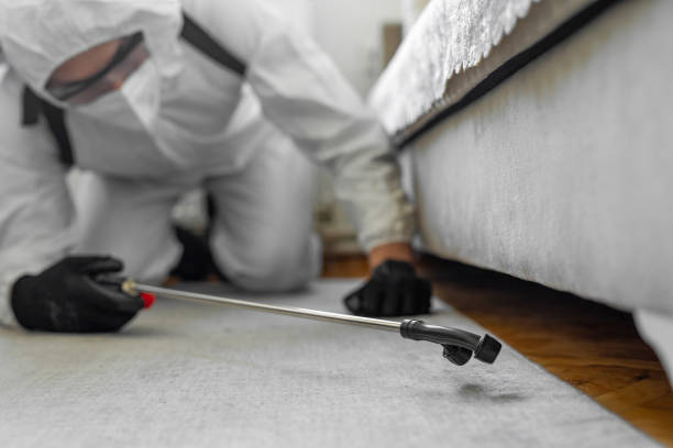 Professional Bed Bug Control technician working in La Salle, CO
