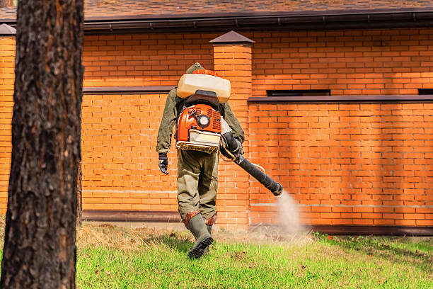 Trusted Mosquito Control service in La Salle, CO - Nex Pest Control